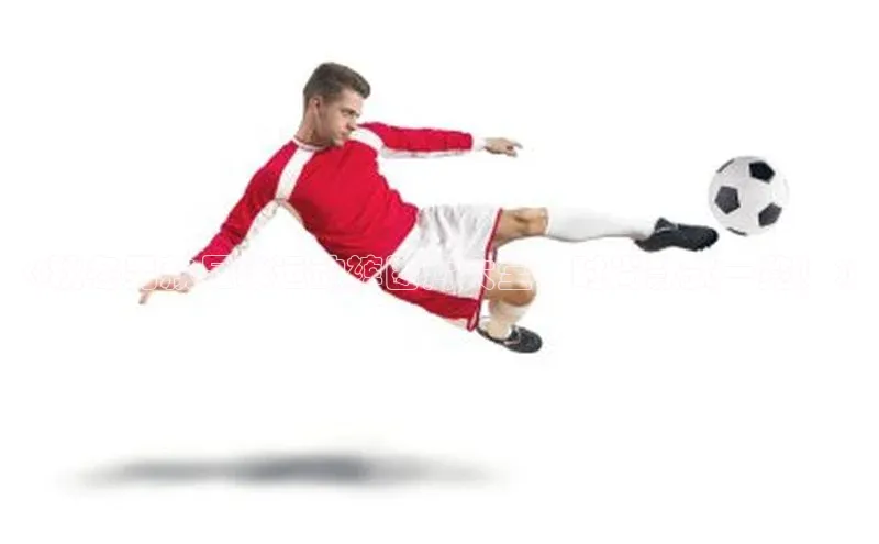 门徒娱乐诸葛科技