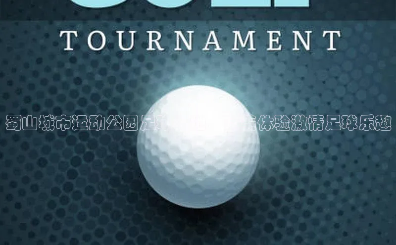 门徒娱乐百度翻译App