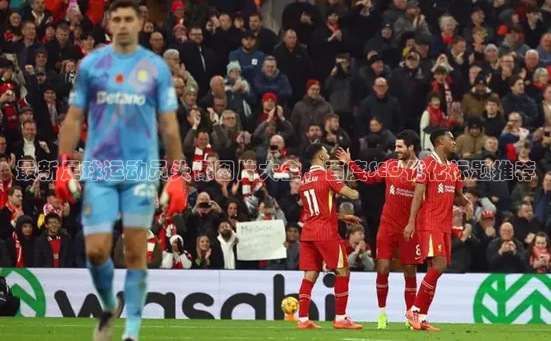 门徒拉菲9注册链接遥望科技