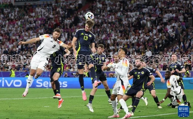 门徒娱乐诸葛科技