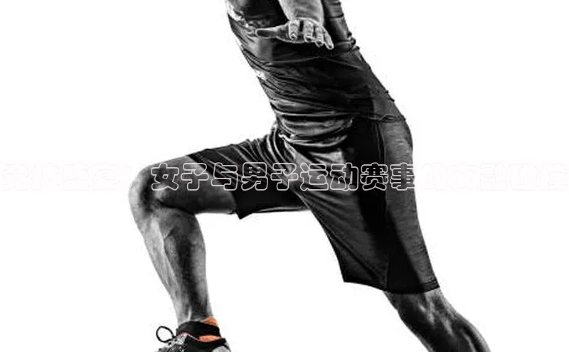 门徒平台登录地址