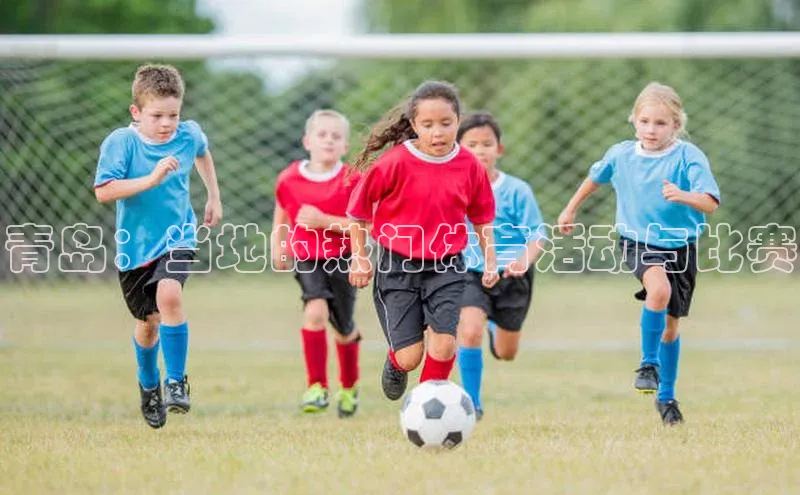 门徒娱乐平台登录入口